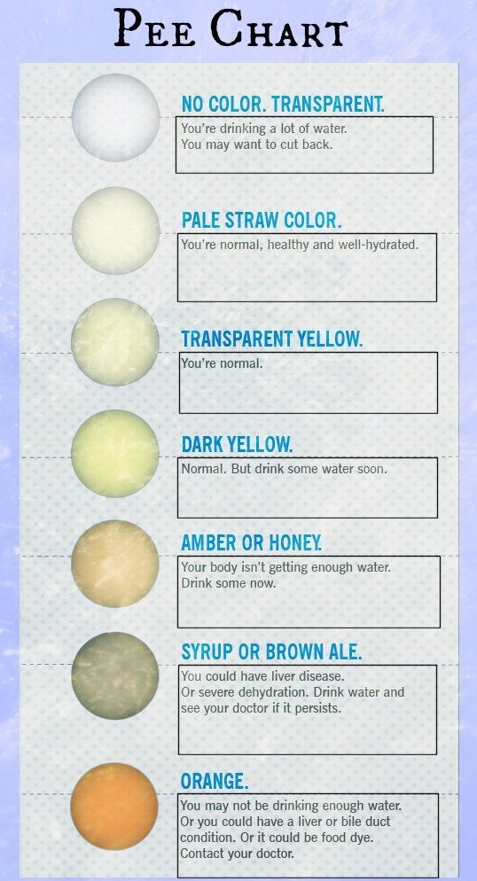 Pee Chart Infographic Drinking Water